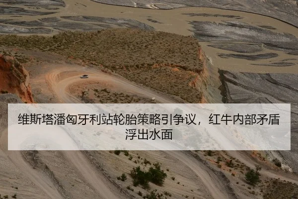 维斯塔潘匈牙利站轮胎策略引争议，红牛内部矛盾浮出水面